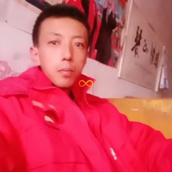 树叶吃醋知性的照片
