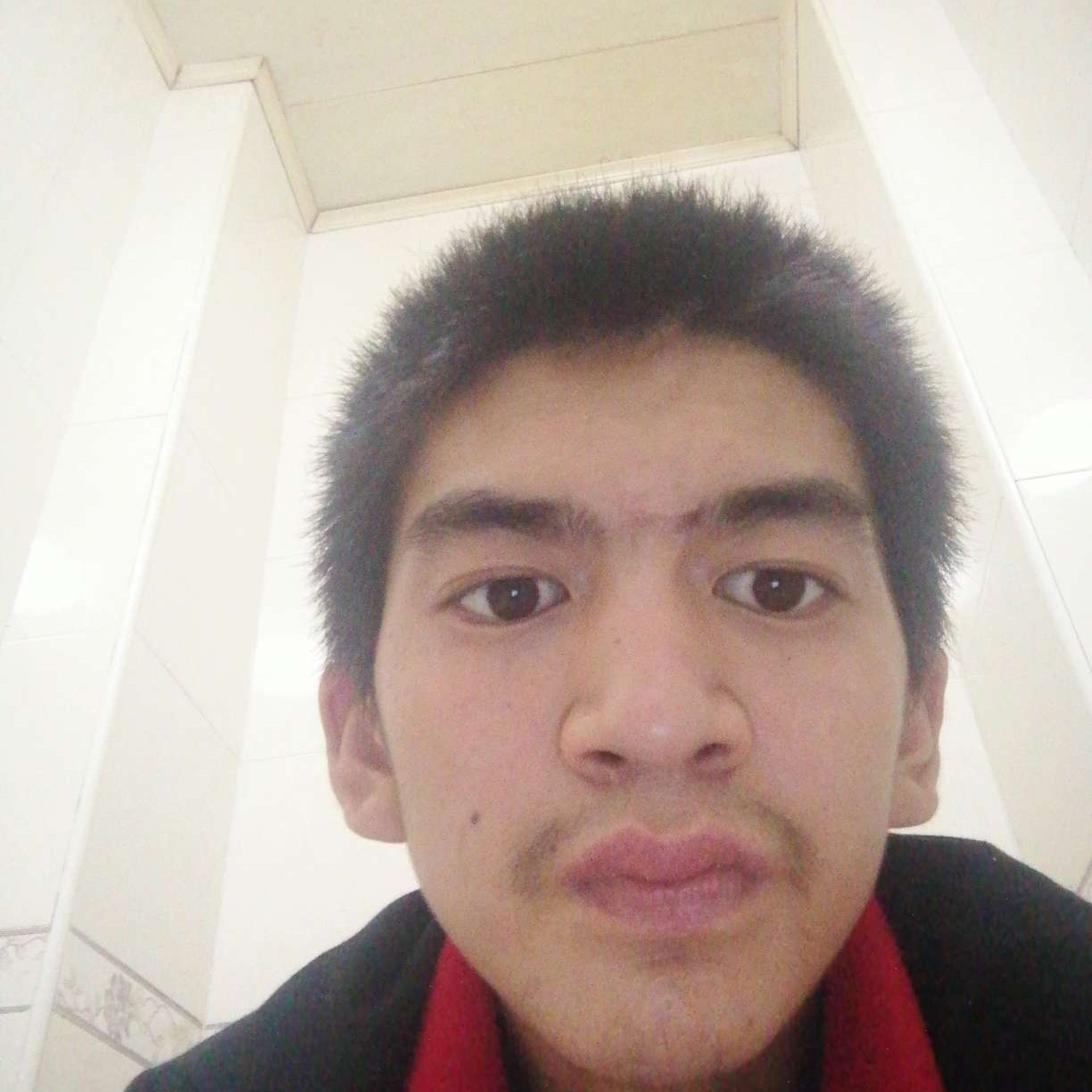 心岛国家的照片