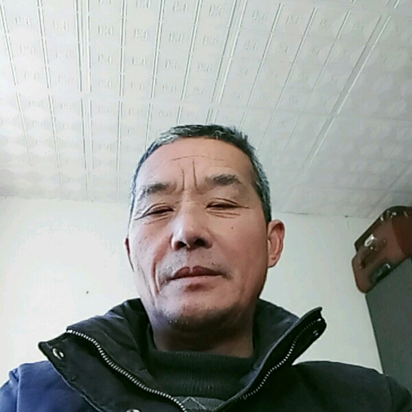我喜欢大黄猫。的照片