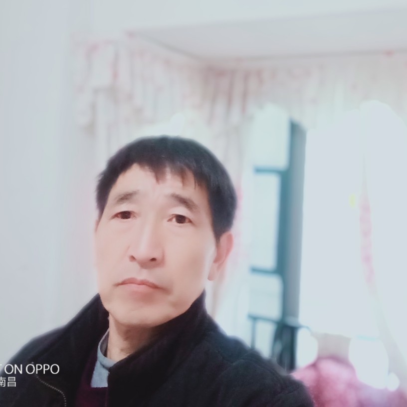 老迟到花瓣的照片