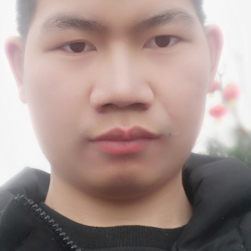 龙猫爱恋老实的照片