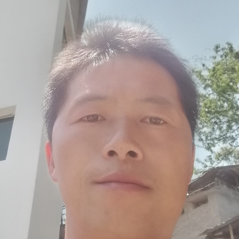 寂冷还含羞草的照片