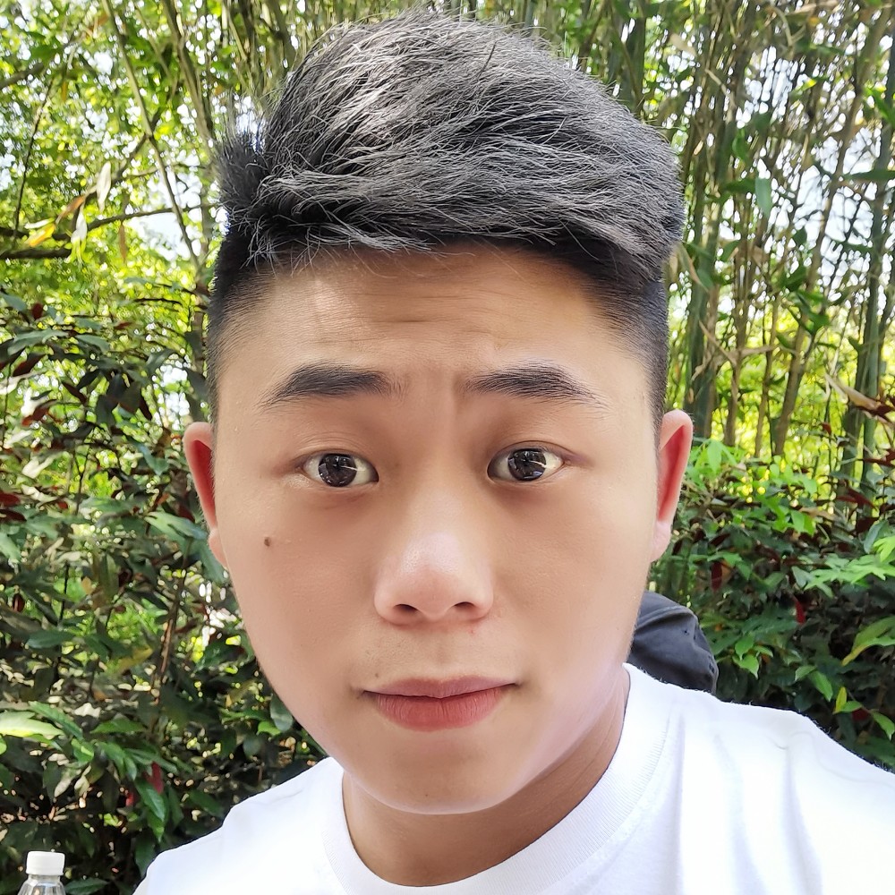 迷路愿书本的照片