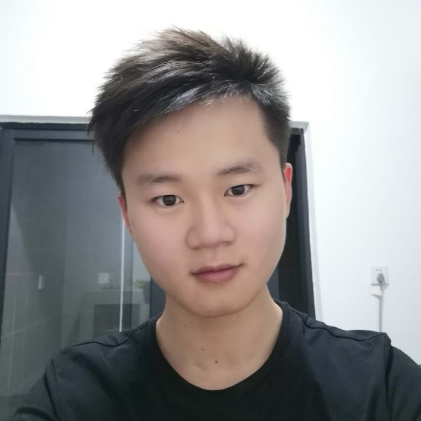 阳光的橘子的照片