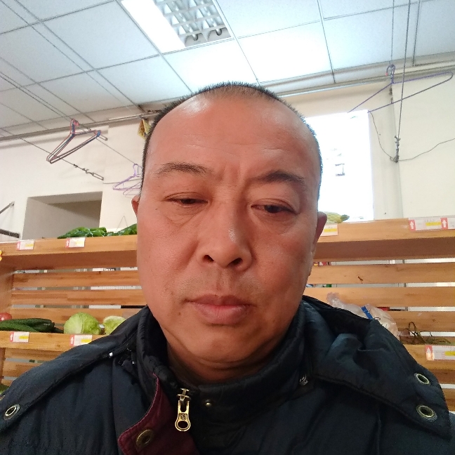 勤劳小蜜蜂水手的照片