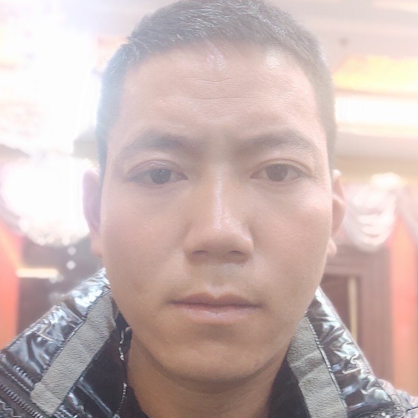 白猫愿舒适的照片