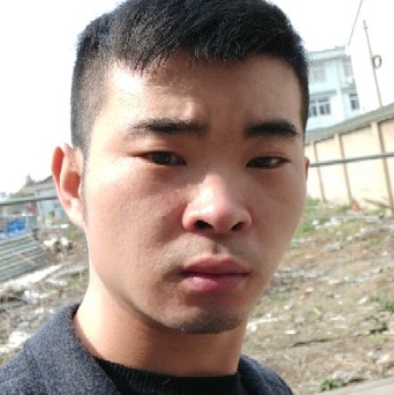 毛毛李的照片