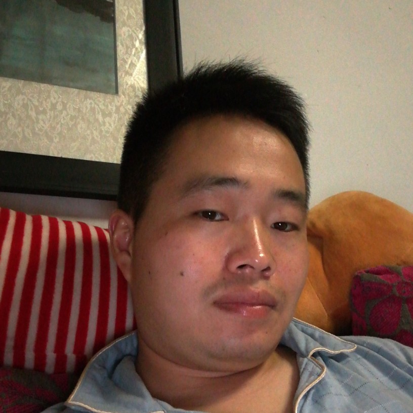 漂浮的蜉蝣的照片