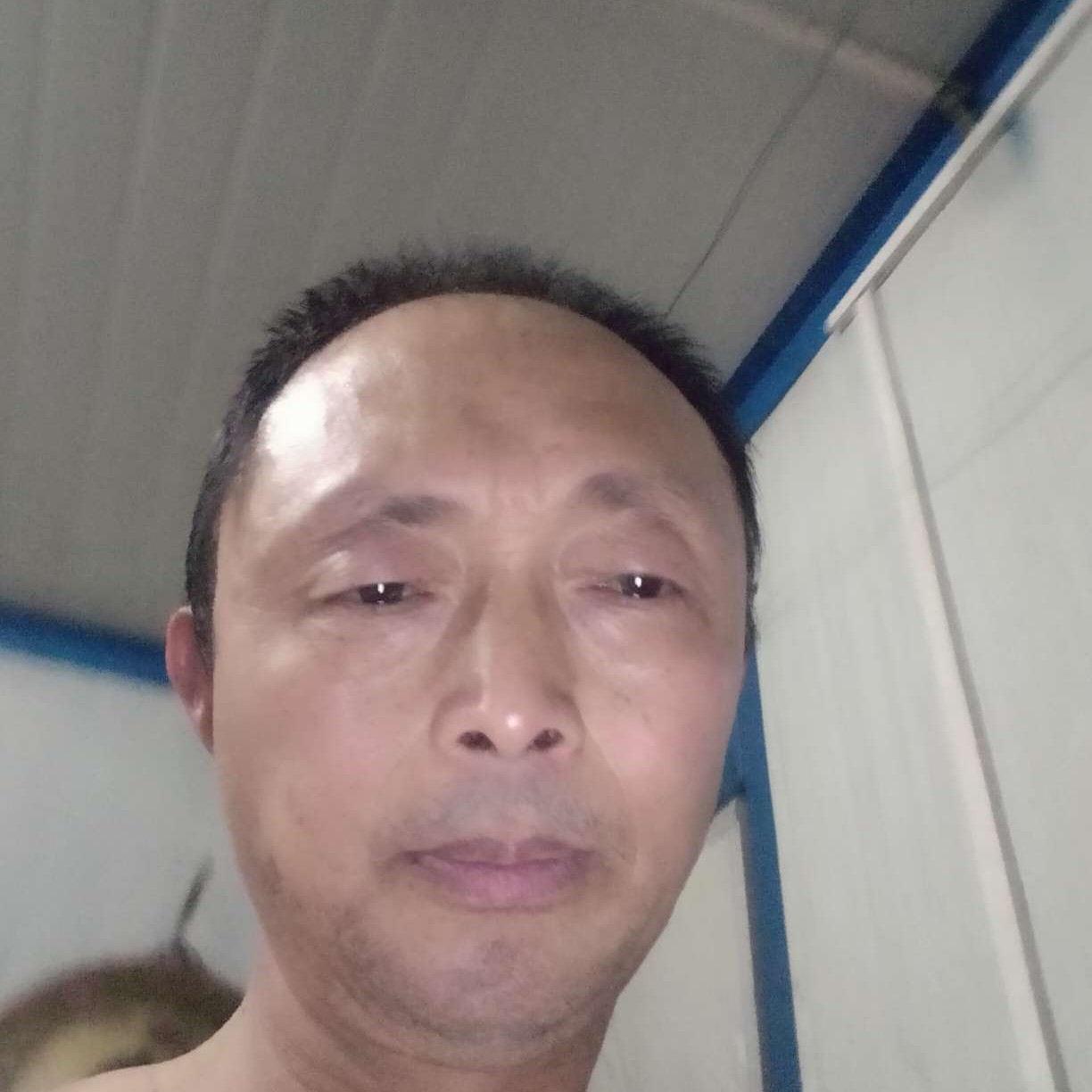 悟空的优雅的照片