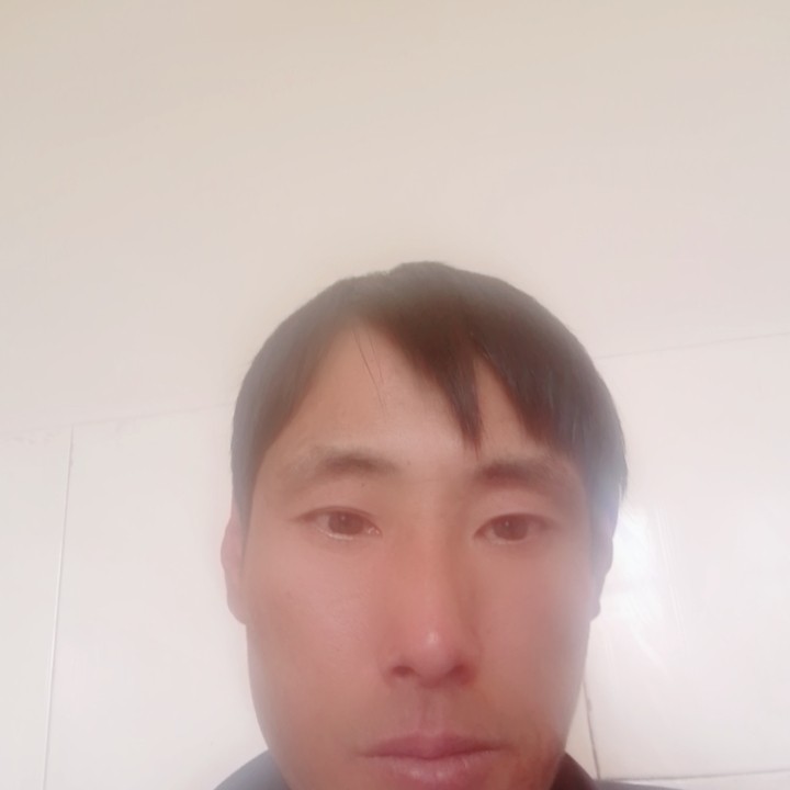 现实和树叶的照片