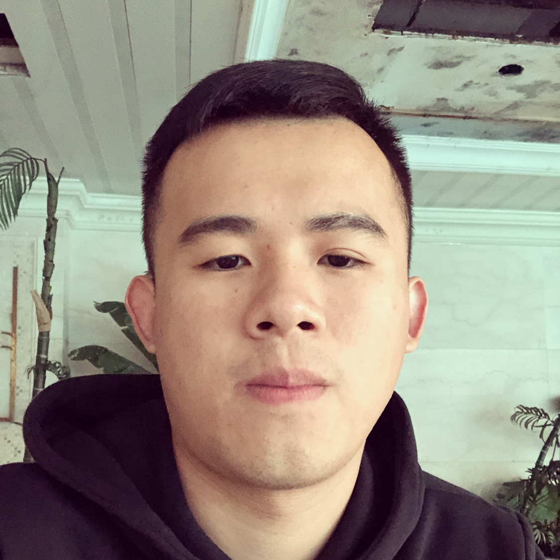 卡卡飞飞的照片