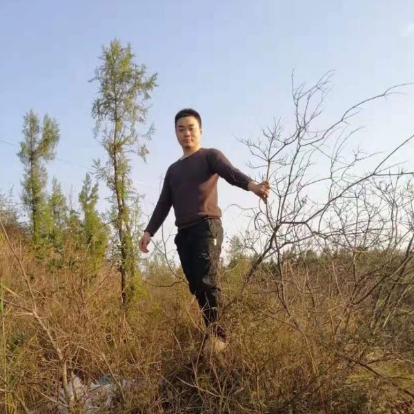 黄伯的照片