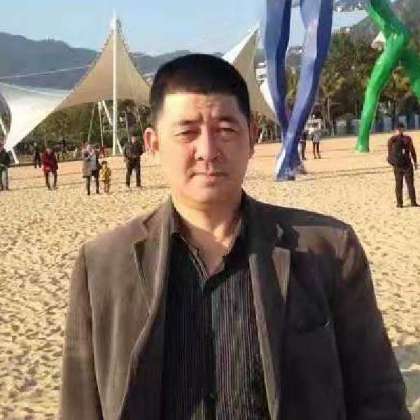 倔强的黄牛1的照片