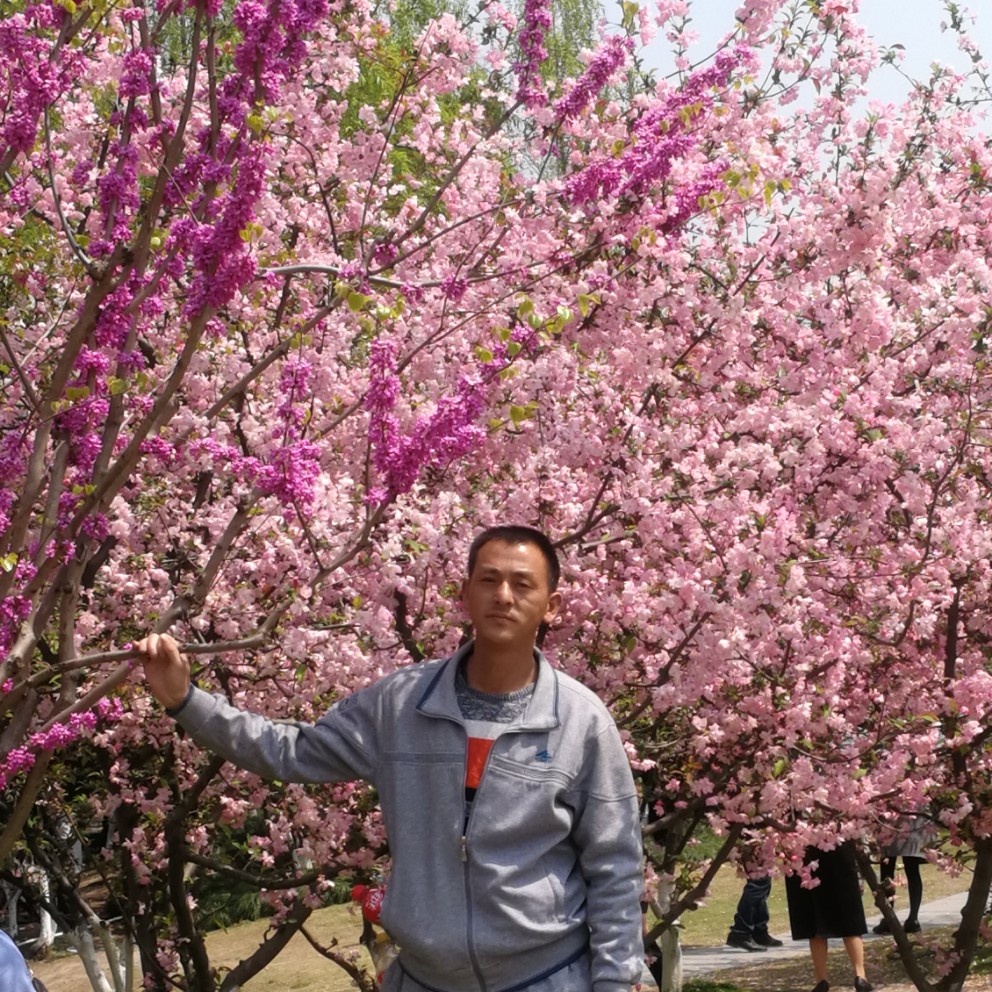 只为你等的照片