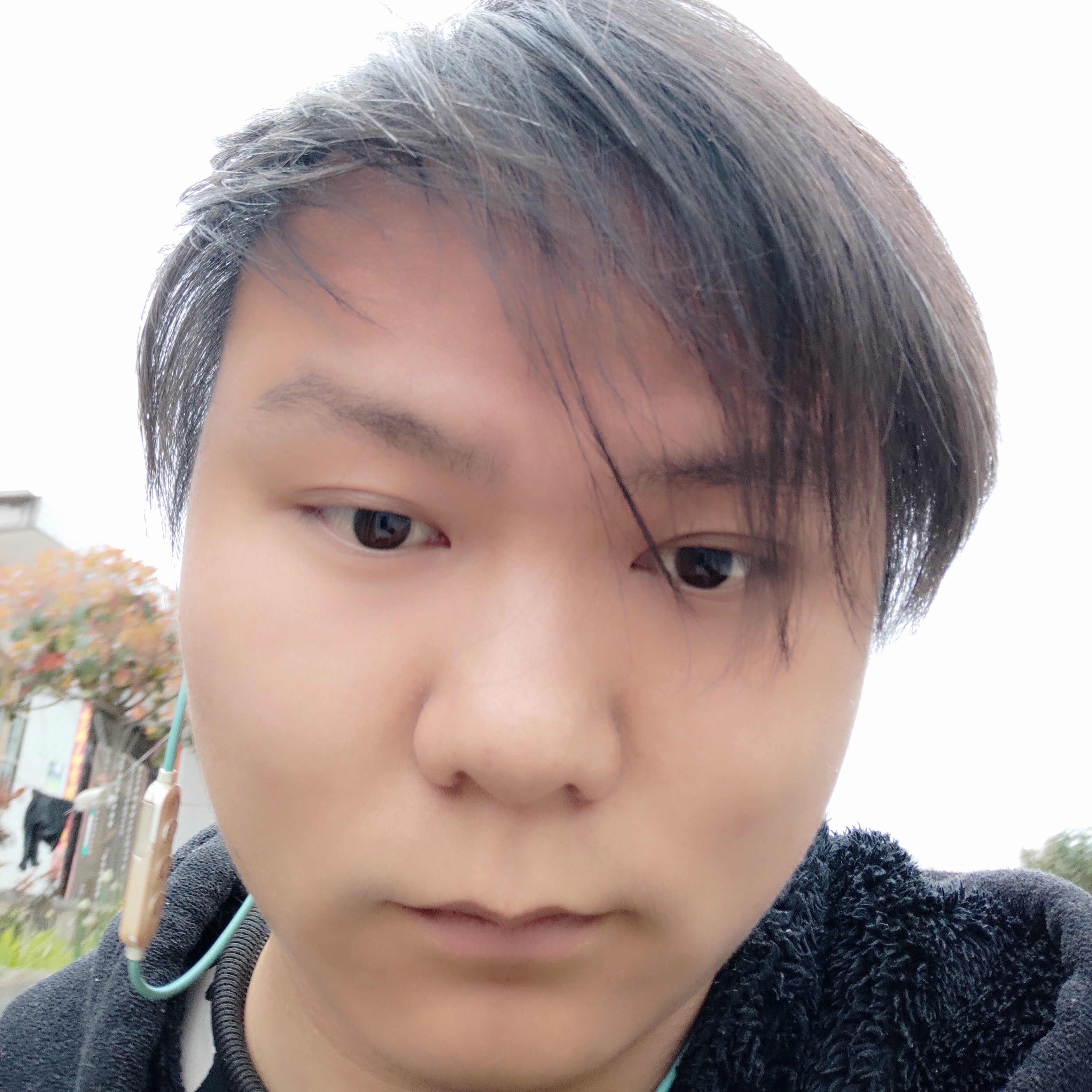 聪明翅膀304的照片
