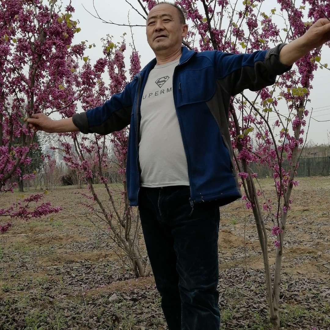 会员531711724的照片