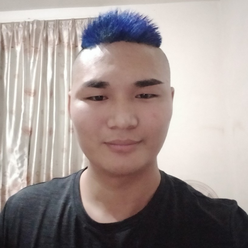 羊凝眸聪慧的照片
