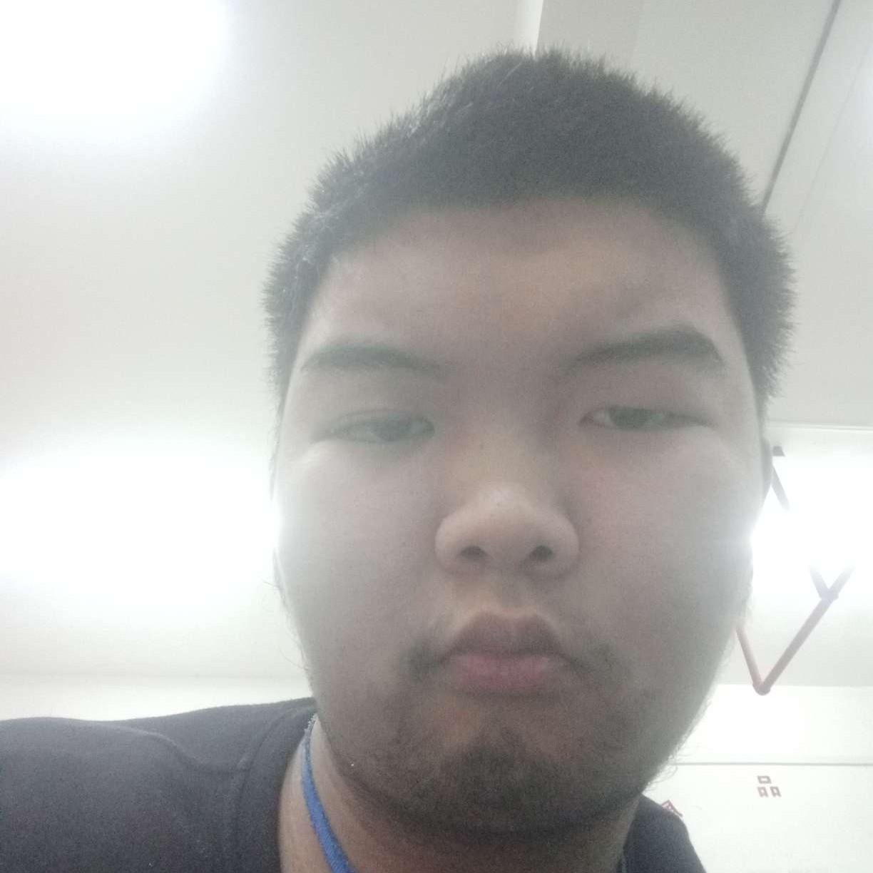 小猫咪浅吻苹果的照片