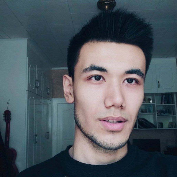 灰狼就火星上的照片