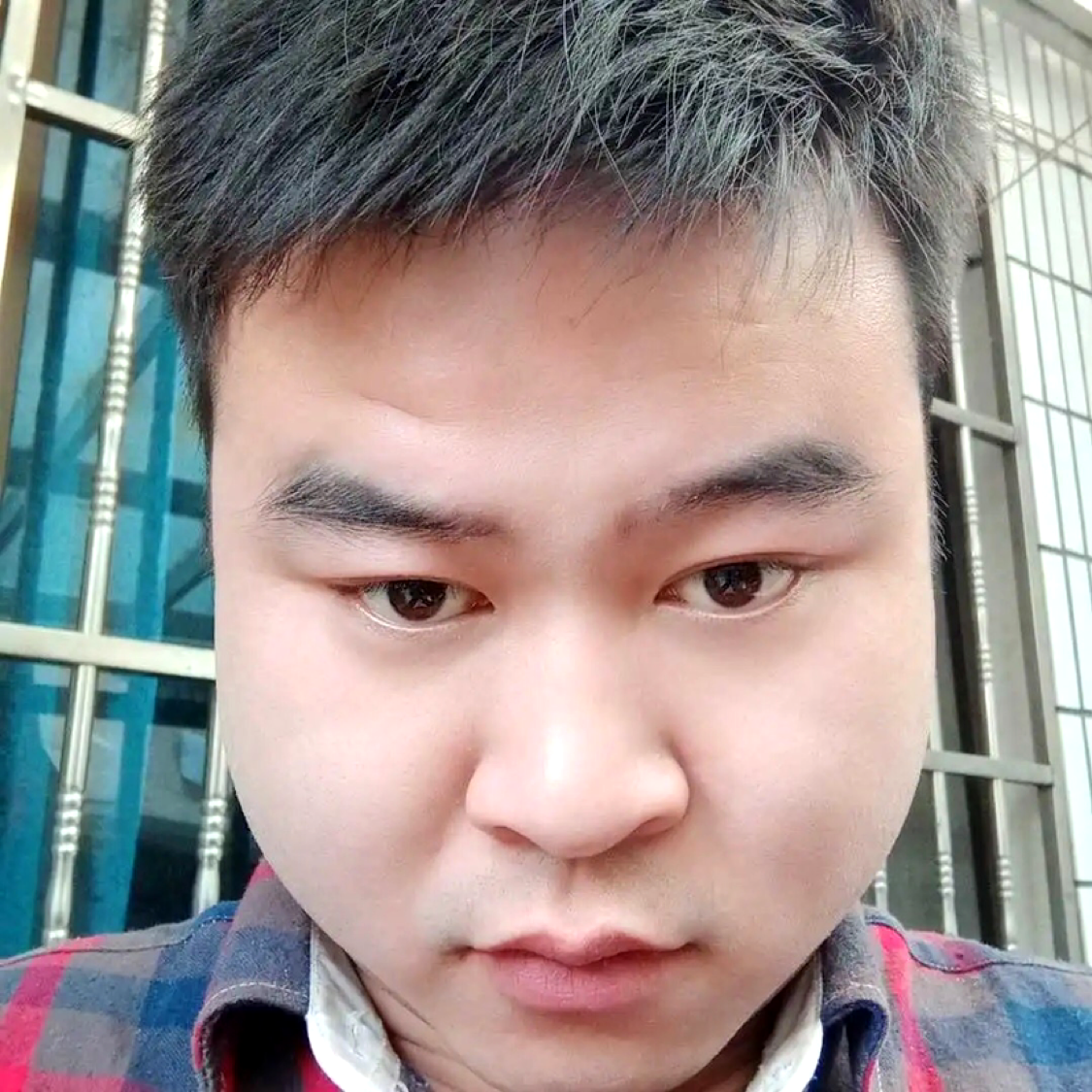 精明闻太阳的照片