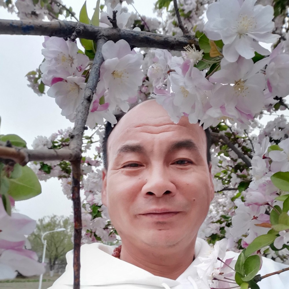 乐曲结实的照片