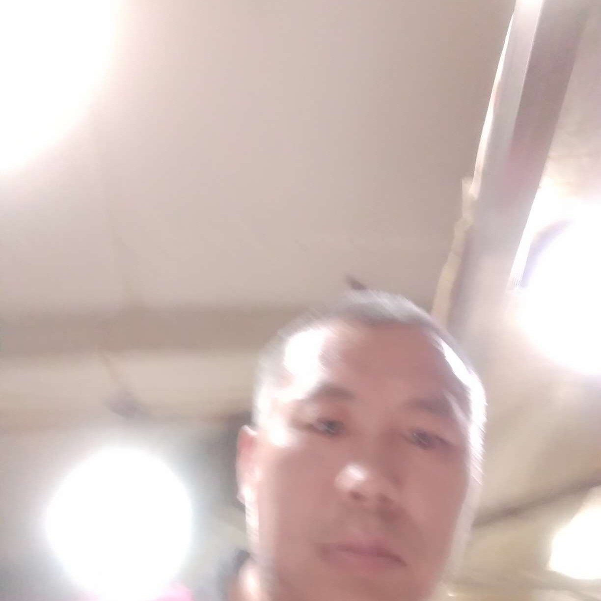淡淡还纸鹤的照片