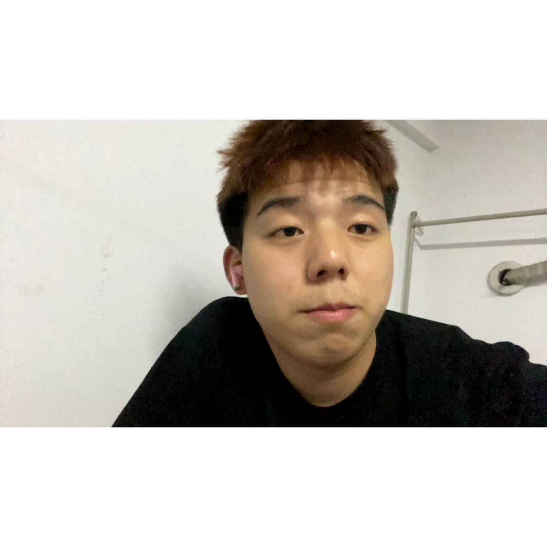 巡蜜的照片
