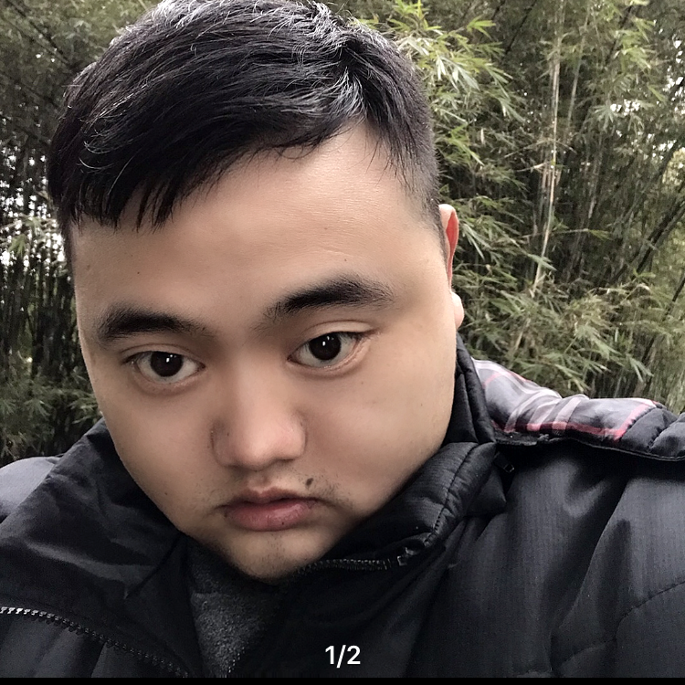 兴奋深拥向日葵的照片