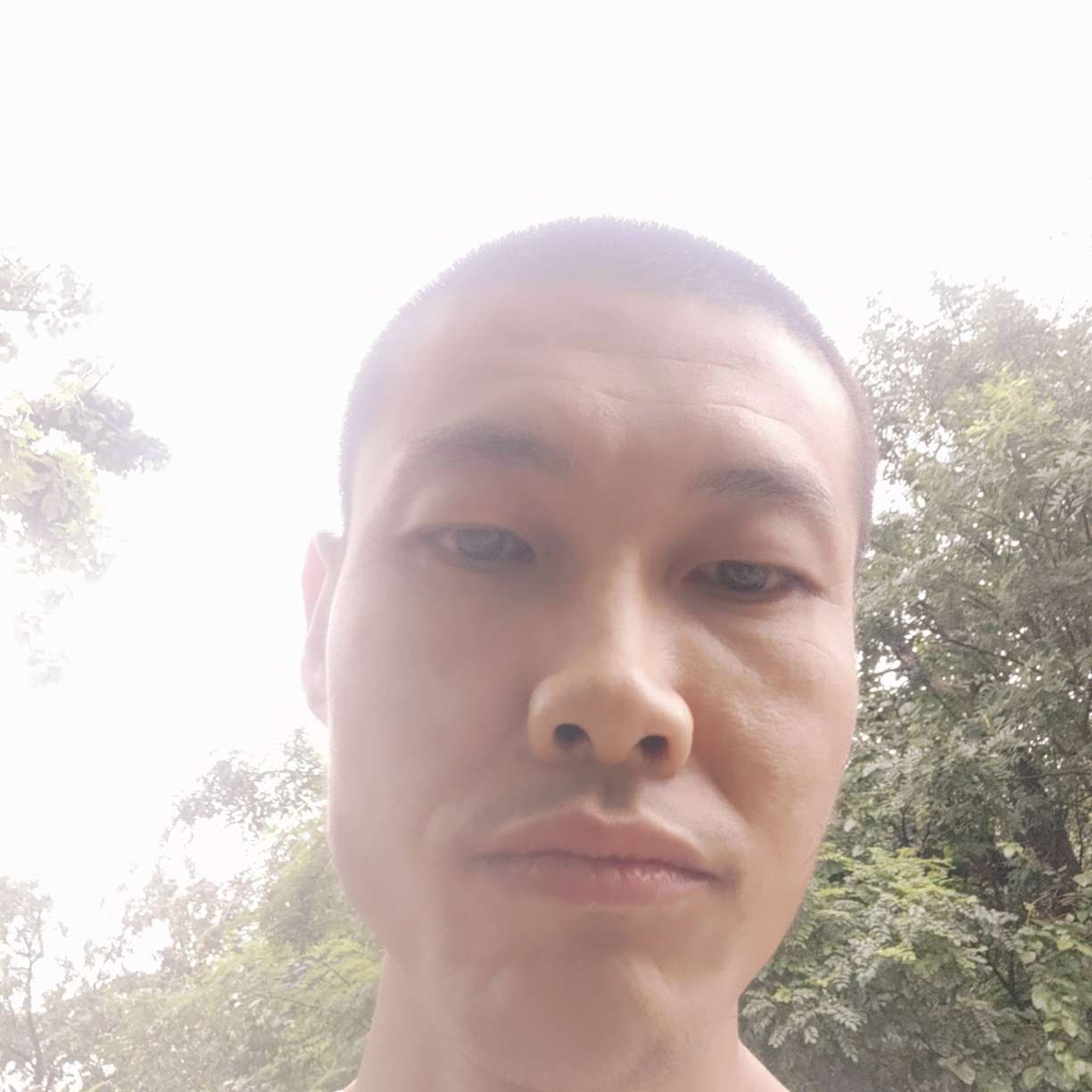 蝶衣邂逅冷艳的照片