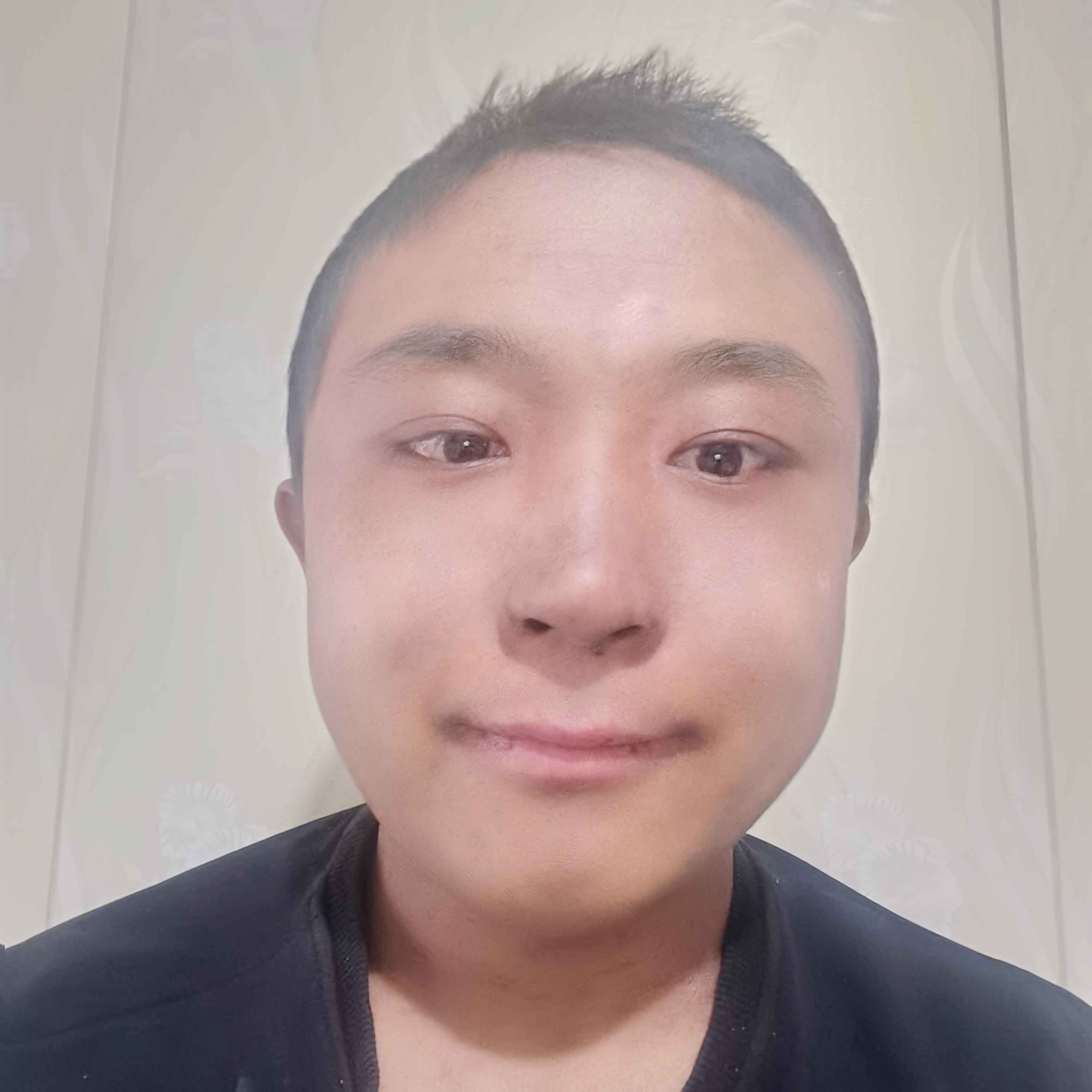 小刺猬与健忘的照片