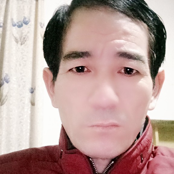 太阳忧伤的照片