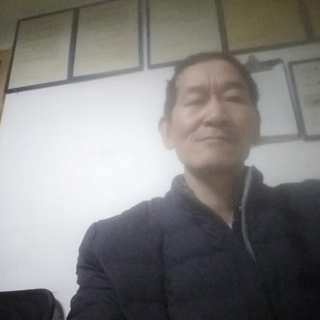 聪明大树的照片