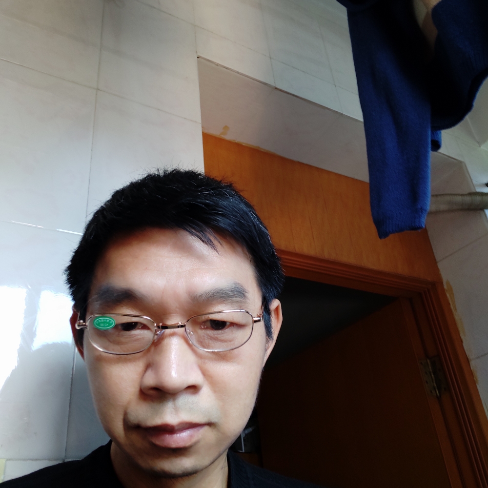 黑色的马的照片