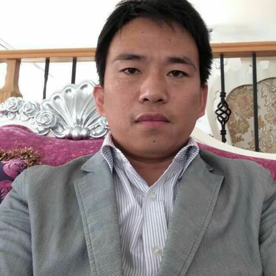 稳重的大树的照片