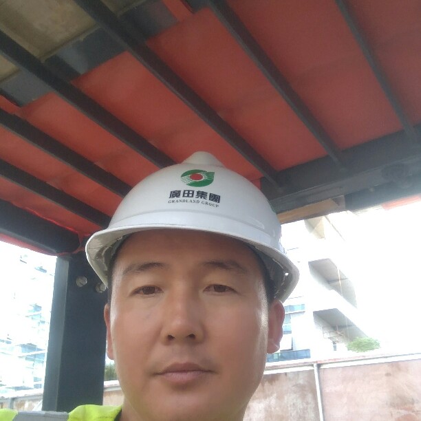 洋葱聪明的照片