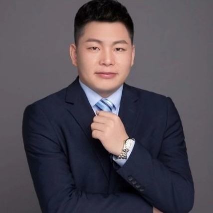 白猫演变优美的照片