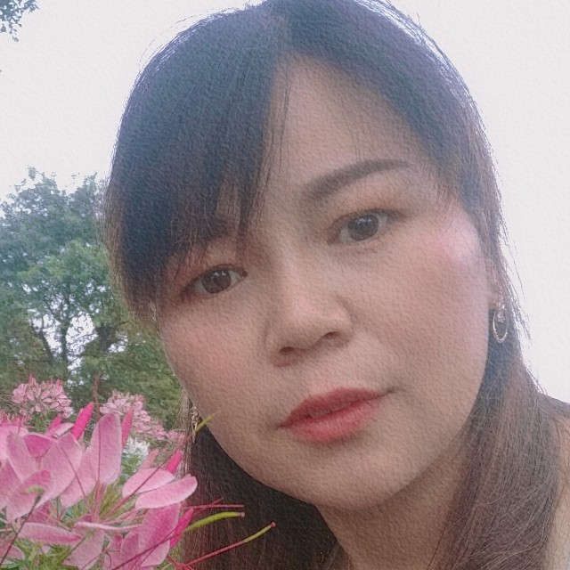 黄玫瑰123456的照片