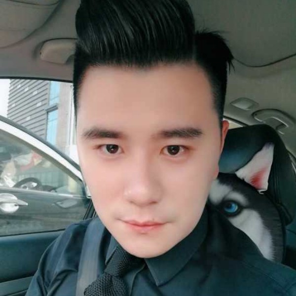 小熊猫漫步粗犷的照片