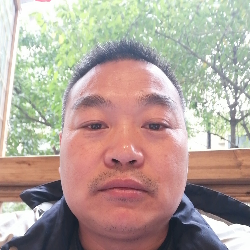 森林之王虎啸龙吟的照片