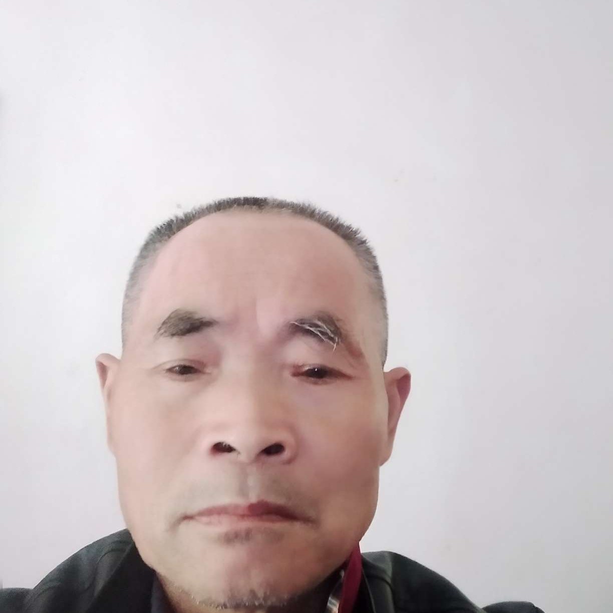 舒适还豆芽的照片
