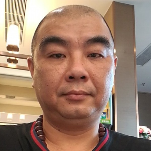 透彻裙子的照片