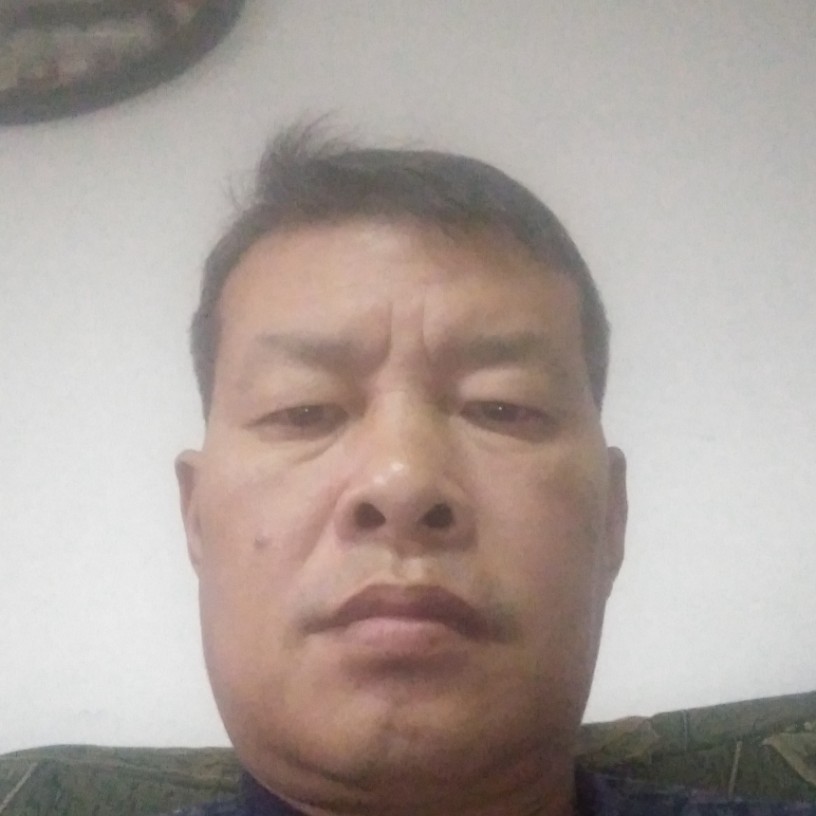 怕孤单蹙眉小蚂蚁的照片