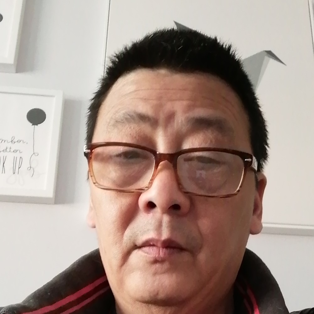 白猫倾心舒服的照片