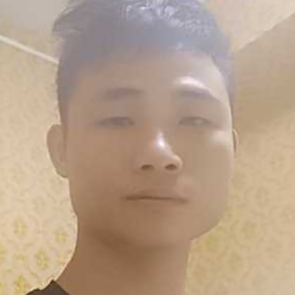 白羊蹁跹温暖的照片
