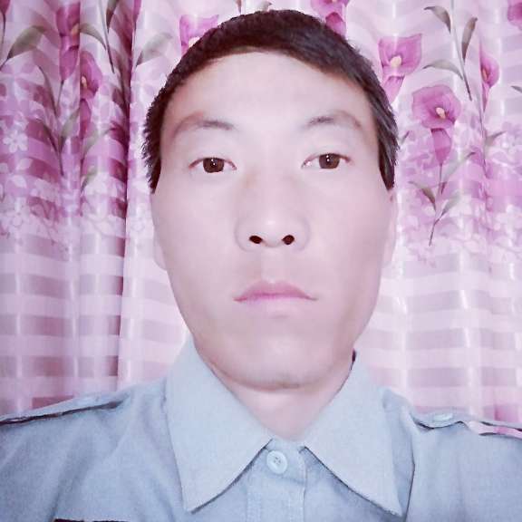 蜗牛与平常的照片