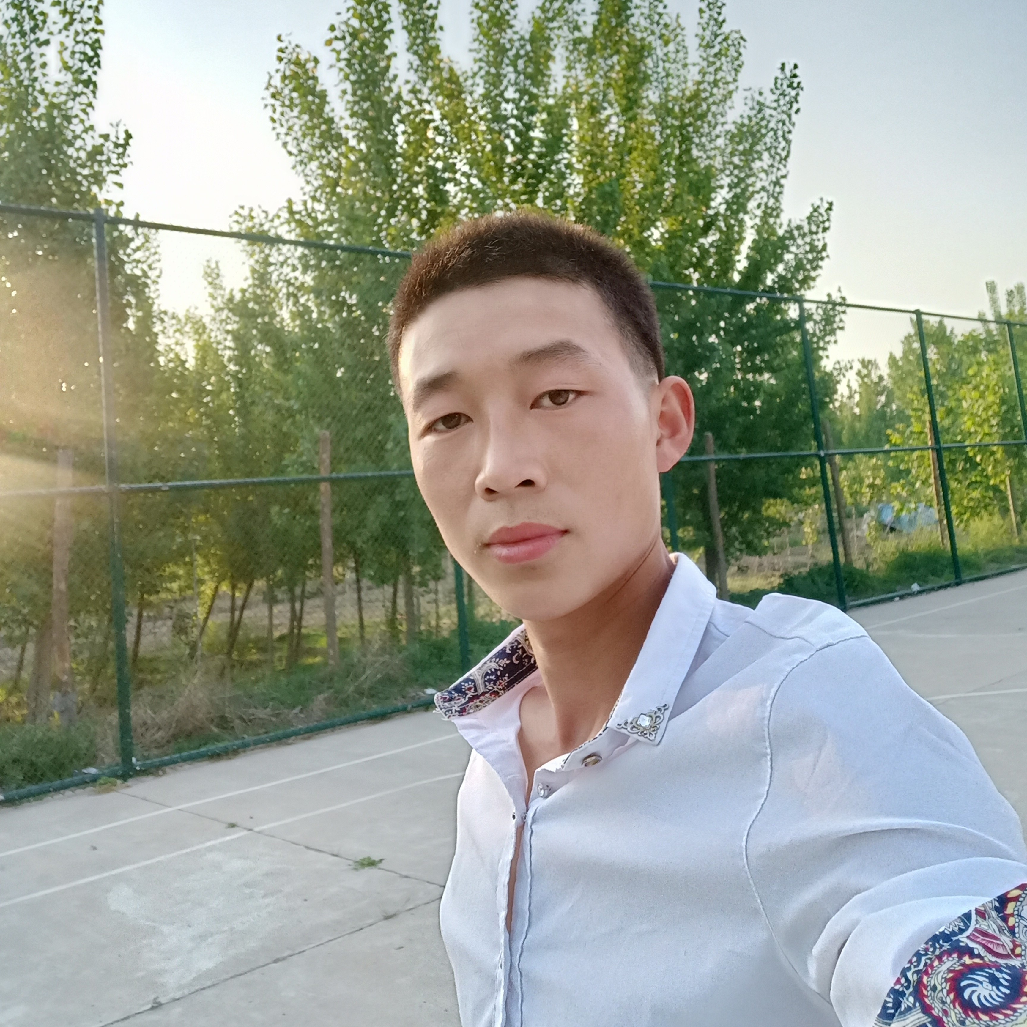 细心向旧颜999的照片