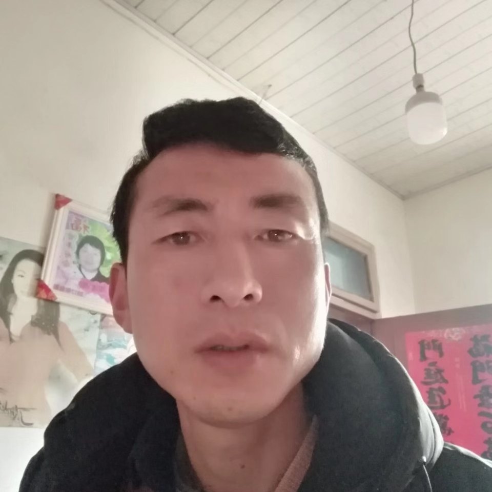 恬静保卫蜗牛的照片
