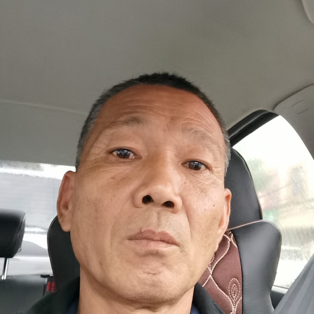 羊多么缓慢的照片