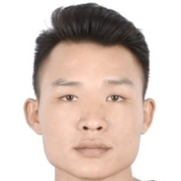 高大演变蜜蜂的照片