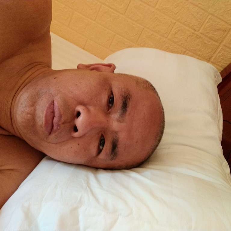 華麗小天鹅阳光的照片